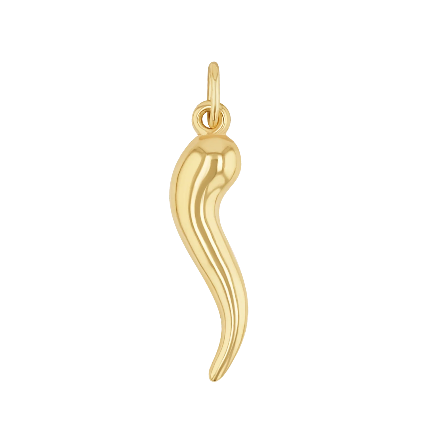 Italian Horn Charm