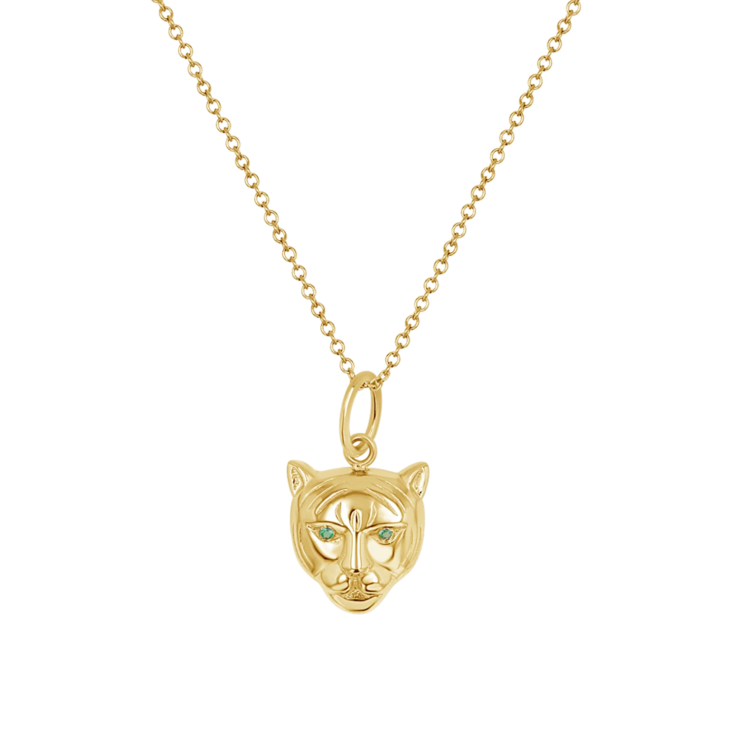 Protective Tiger Charm - Image 4