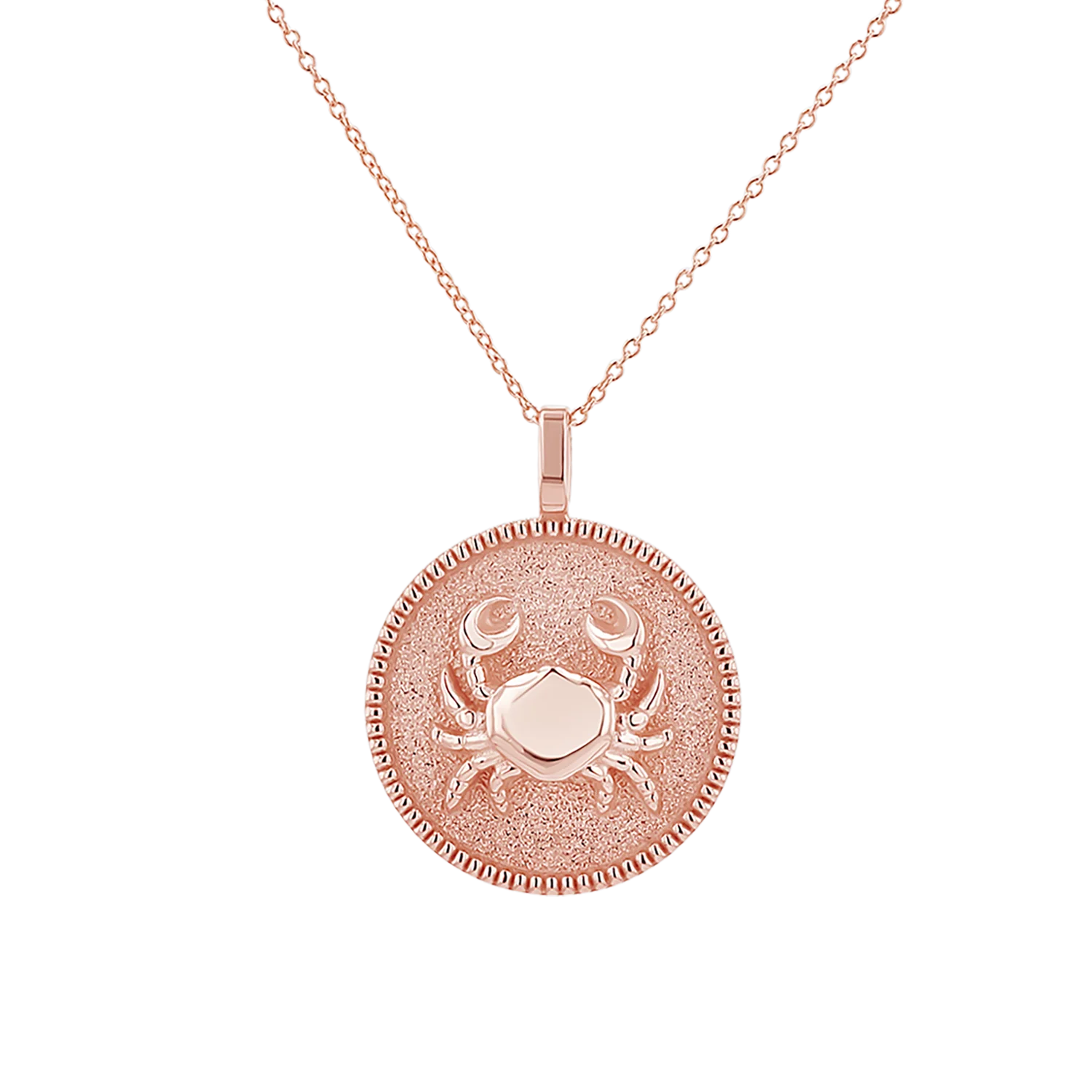 Zodiac Coin Medallion Necklace - Image 30