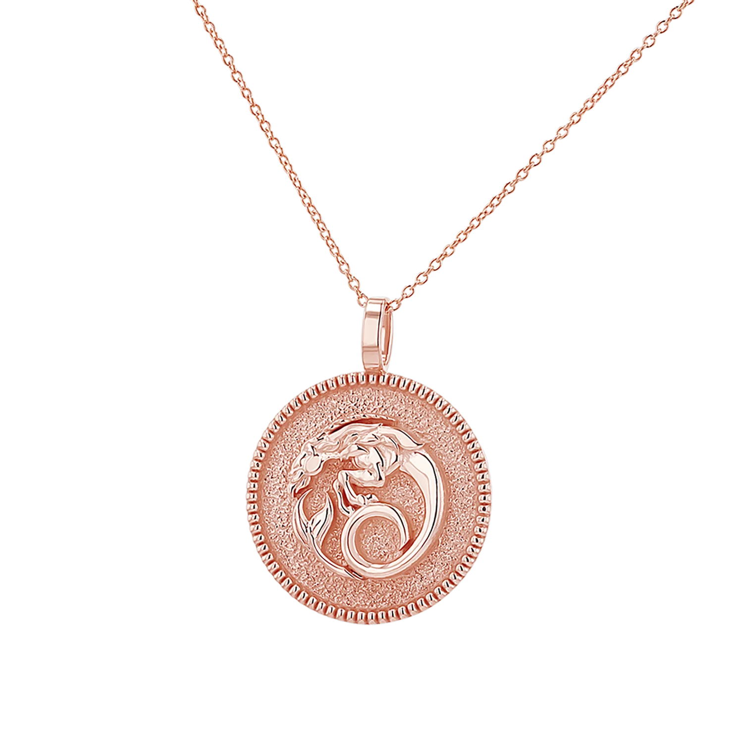 Zodiac Coin Medallion Necklace - Image 36