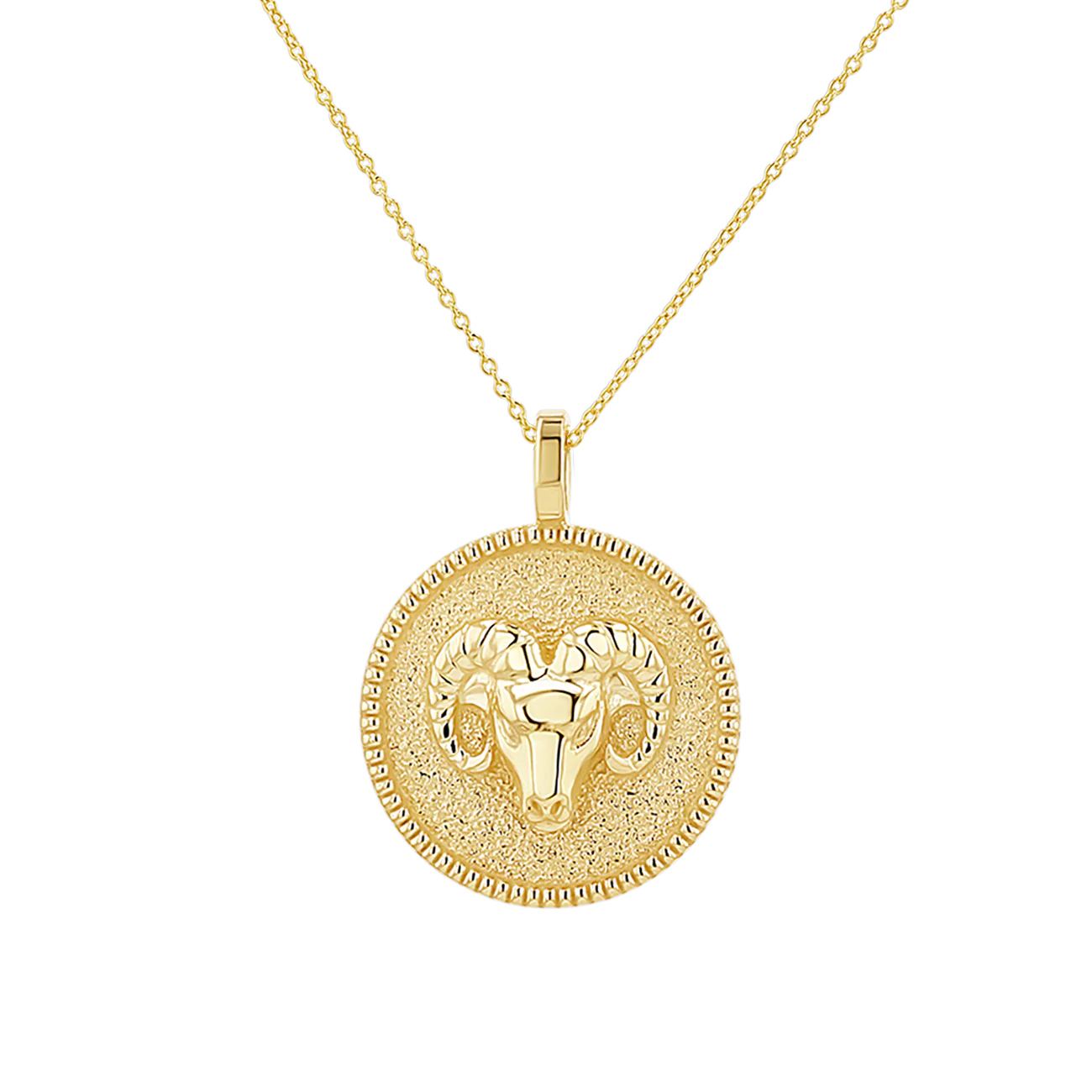 Zodiac Coin Medallion Necklace - Image 5