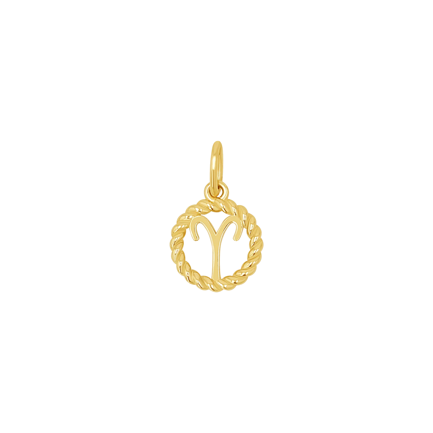 Zodiac Twist Medallion Charm