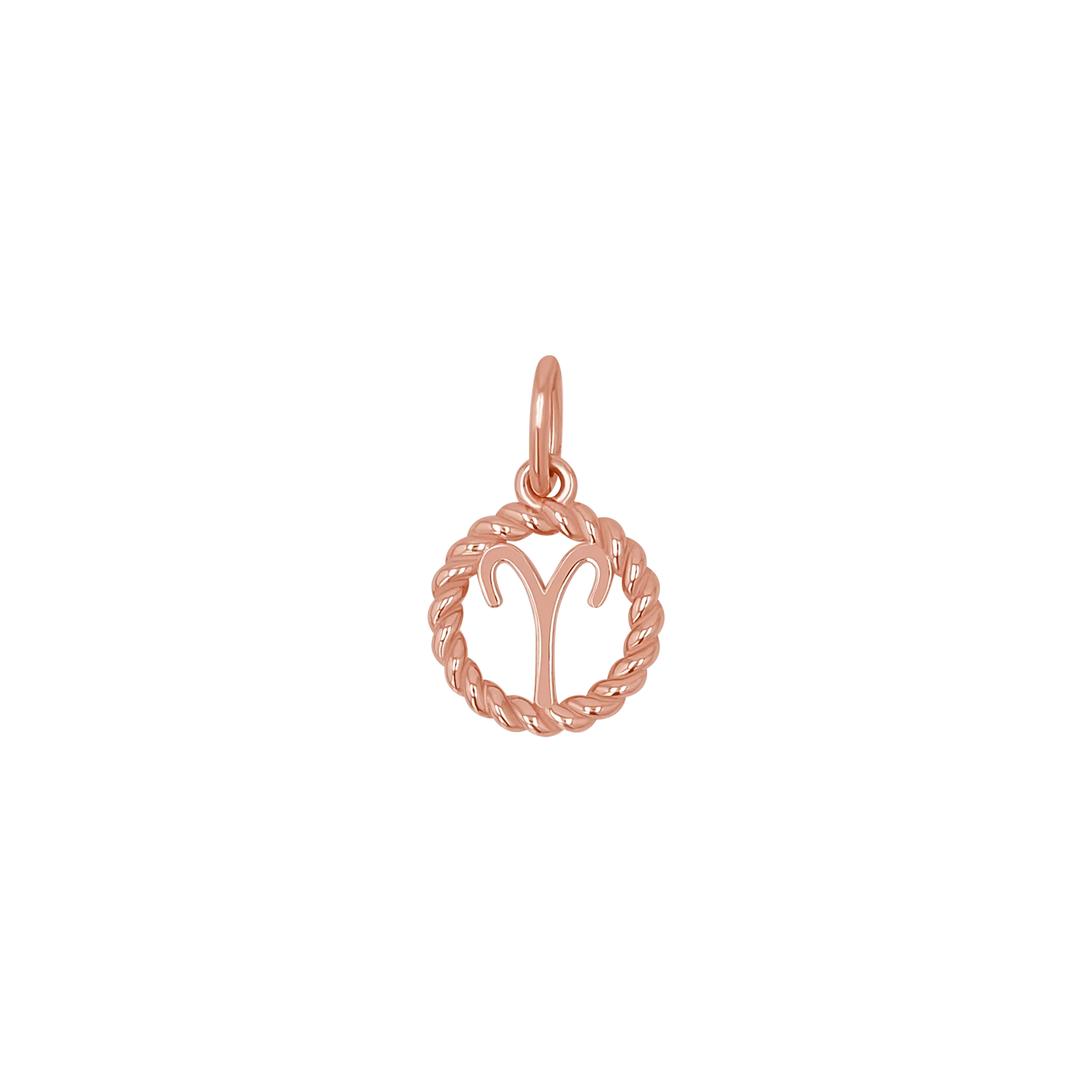 Zodiac Twist Medallion Charm - Image 3